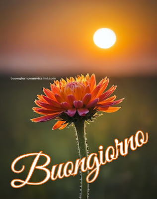 buon giorno immagini nuove gratis