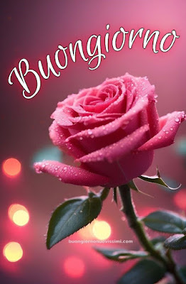 buon giorno immagini nuove gratis