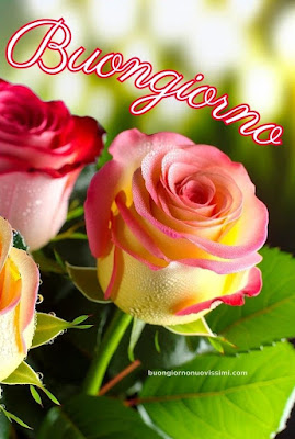 buon giorno immagini nuove gratis