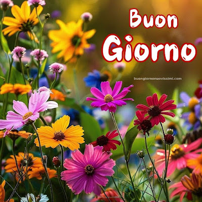 buon giorno immagini nuove gratis
