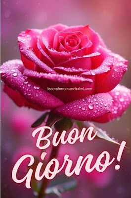 buon giorno immagini nuove gratis