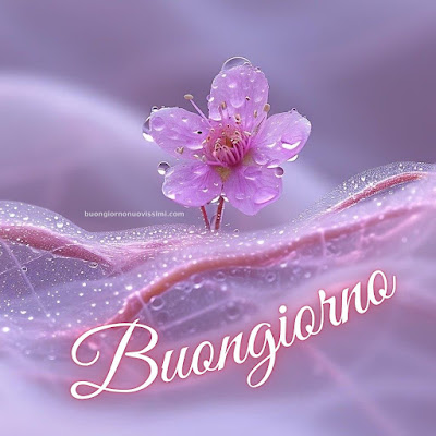 buon giorno immagini nuove gratis