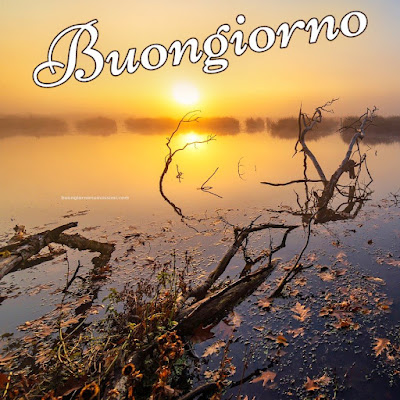 buon giorno immagini nuove gratis