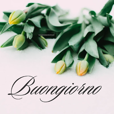 buon giorno immagini nuove gratis