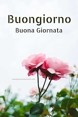 buon giorno immagini nuove