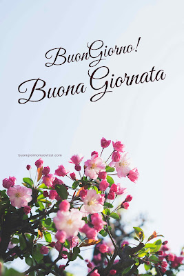 buon giorno immagini nuove