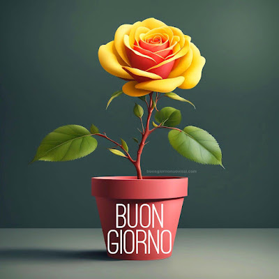 buon giorno immagini nuove