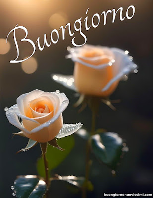 buon giorno immagini nuove