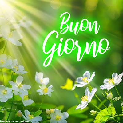buon giorno immagini nuove
