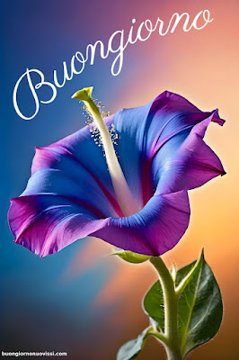 buon giorno immagini nuove