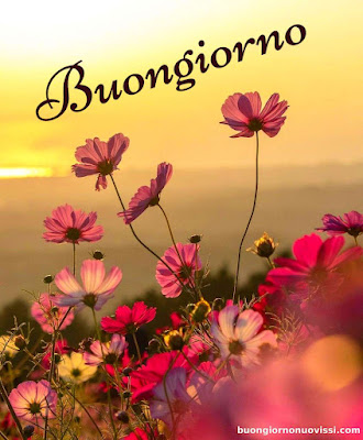 buon giorno immagini nuove