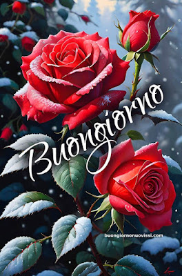 buon giorno immagini nuove