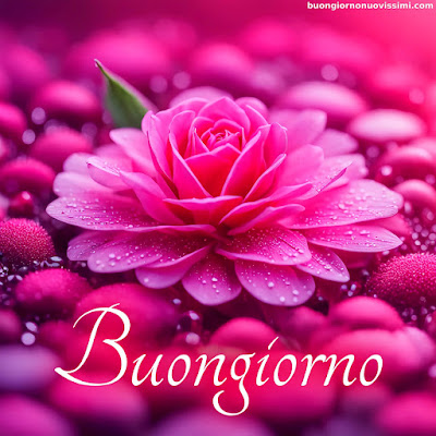 buon giorno immagini nuove