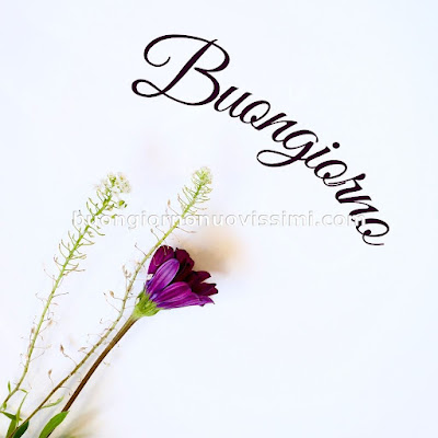 buon giorno immagini nuove