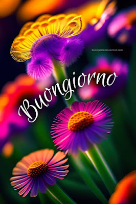 buon giorno immagini nuove