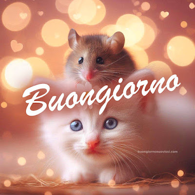 buon giorno immagini buon giorno immagini