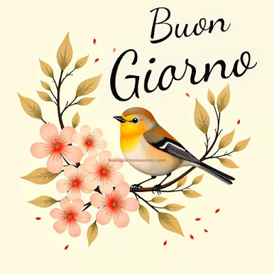 buon giorno immagini buon giorno immagini