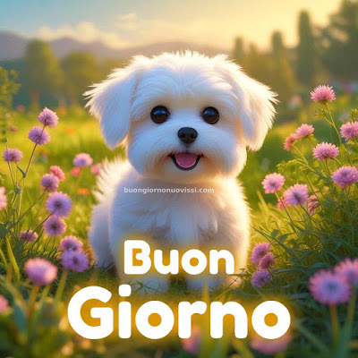 buon giorno immagini buon giorno immagini