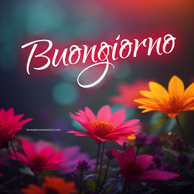 buon giorno immagini buon giorno immagini