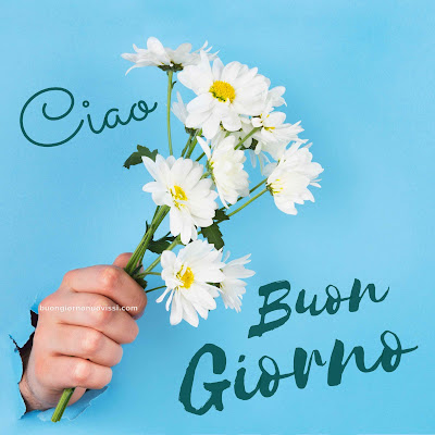 buon giorno immagini buon giorno immagini