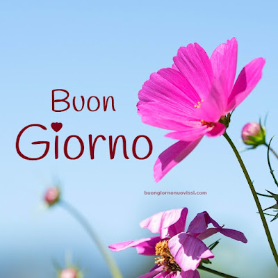 buon giorno immagini buon giorno immagini