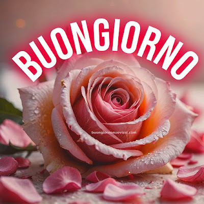 buon giorno immagini buon giorno immagini