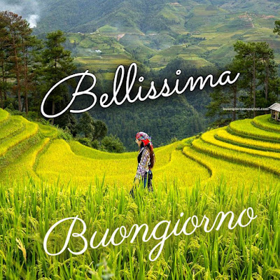 buon giorno immagini buon giorno immagini