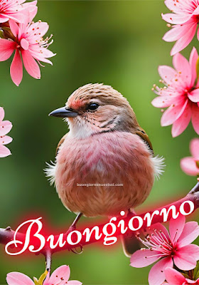 buon giorno immagini buon giorno immagini