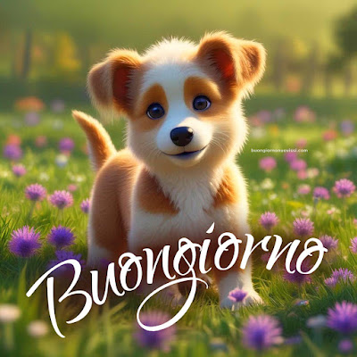 buon giorno immagini buon giorno immagini
