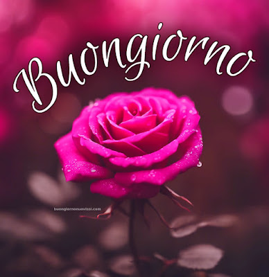 buon giorno immagini buon giorno immagini