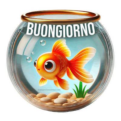 buon giorno immagini buon giorno immagini