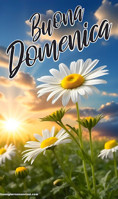 Buona Domenica Immagini