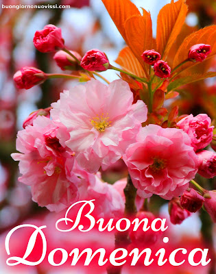 Buona Domenica Immagini
