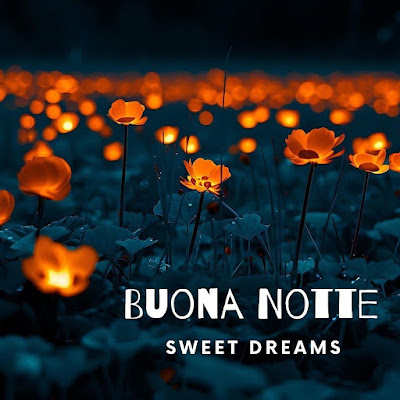 Buona Notte A Te Immagini Nuove Bellissime