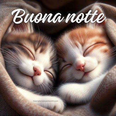 Buona Notte A Te Immagini Nuove Bellissime