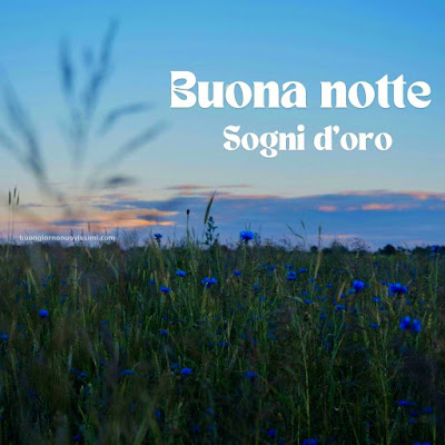 Buona Notte A Te Immagini Nuove Bellissime