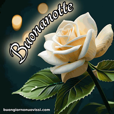 buona notte immagini nuove