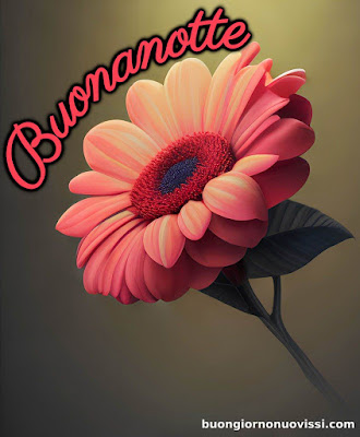 buona notte immagini nuove