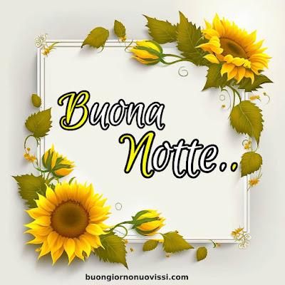buona notte immagini nuove