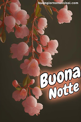 buona notte immagini nuove