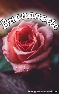 buona notte immagini nuove