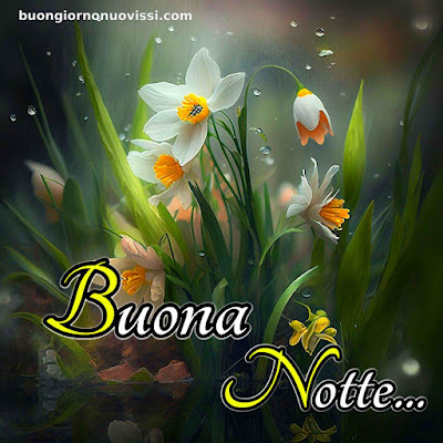 buona notte immagini nuove