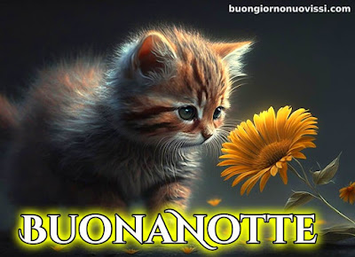 buona notte immagini nuove