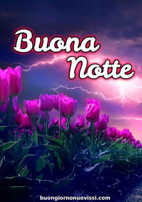 buona notte immagini nuove
