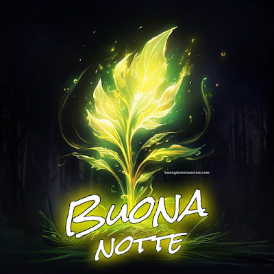 buona notte invernale immagini nuove