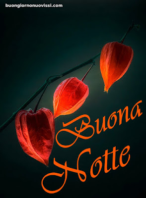 buona notte religioso gioioso buonanotte buona notte religioso gioioso buonanotte