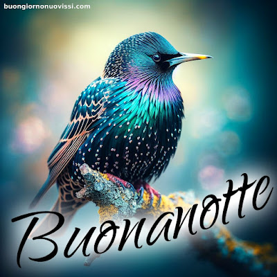 buona notte religioso gioioso buonanotte buona notte religioso gioioso buonanotte