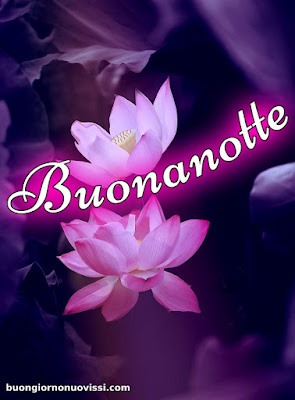 buona notte religioso gioioso buonanotte buona notte religioso gioioso buonanotte