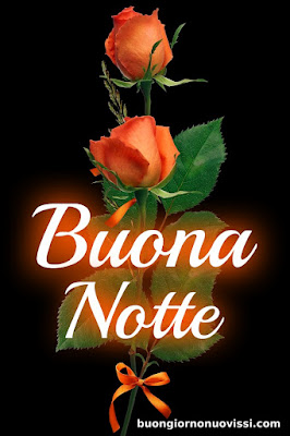 buona notte religioso gioioso buonanotte buona notte religioso gioioso buonanotte