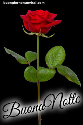 buona notte religioso gioioso buonanotte buona notte religioso gioioso buonanotte